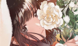 拍照动漫,捕捉光影中的经典瞬间